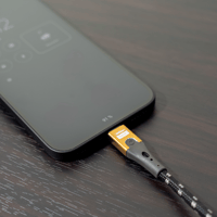 Oehlbach Primus AC variant 2