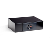 MartinLogan ElectroMotion  ESL X variant 49