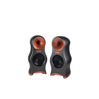 Zingali Acoustics Client Name 1.5 variant 1