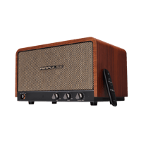 Airpulse P100X variant 5