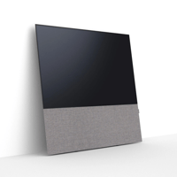 Canvas CANVAS 55 variant 42