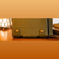 Cayin Cayin Multifunctional Carrying Case variant 4