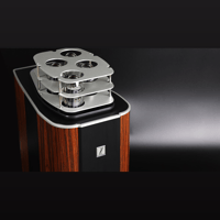 Fjord Audio Model P150 variant 9