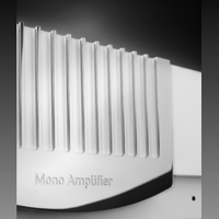 MBL - USA MBL N15 variant 5