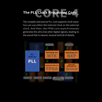 Aune S10N  Network Music Player variant 12