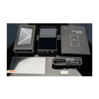 Cayin N6iii T201 variant 33