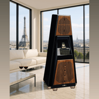 Gershman Acoustics 30th Anniversary Black Swan variant 2