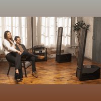 MartinLogan Impression  ESL 11A variant 1