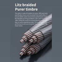 FiiO LS-2.5A/LS-2.5AS variant 3