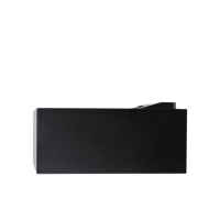 Lyngdorf Audio CS-2 variant 2