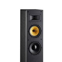 Davis Acoustics Mani MK2 variant 3