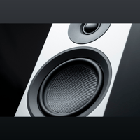 Pro-ject Audio Systems - USA Speaker Box 5 E Carbon variant 8