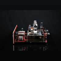 SW1x AMP IV “Aura” Integrated Amplifier variant 5