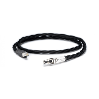 Pink Faun Digital interlink LAN variant 1