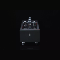 SW1x MPA I “Neptune” PP Mono Power Amplifier variant 1