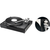 Linn Cherry variant 2