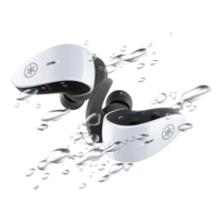 Yamaha TW-ES5A variant 24