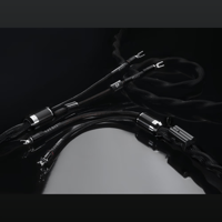 Esprit Audio Eterna Loudspeaker connection variant 1