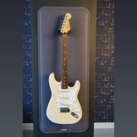 Vicoustic VicDisplay Guitar variant 4