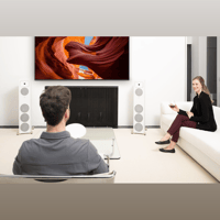 MartinLogan Motion Foundation F2 variant 31