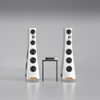 YG Acoustics XX Live variant 5