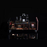 SW1x MPA IV “Aurora” Mono Power Amplifier variant 8