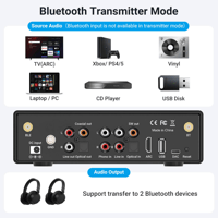 Arylic BP50 Bluetooth Preamplifier With ESS ES9023P DAC variant 3