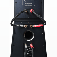 MonAcoustic Platimon Virtual Coaxial Speakers variant 8