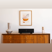 Starke Sound Fiera4 - 4 Channel Amplifier variant 5