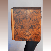 PureArtFi LS-6 variant 10