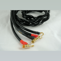 Gingko Audio Speaker Cable variant 1