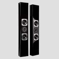 Totem Acoustic Tribe III variant 1