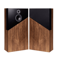 Davis Acoustics The Wall variant 2