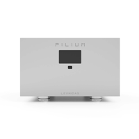 Pilium Audio Leonidas Integrated Amplifier variant 1