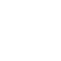 Sonus Faber Arena 5 variant 9