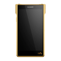 Sony NW-WM1ZM2 variant 5