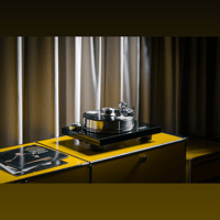 Pro-ject Audio Systems - USA Signature 10 variant 7
