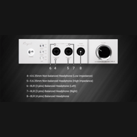 Cayin iHA-6 variant 7