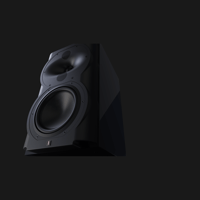 Perlisten R4b variant 4