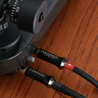 Advance Paris LINK RCA variant 3