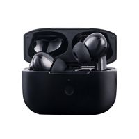 Hifiman TWS500 variant 1