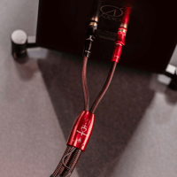 AudioQuest Brave Heart Full-Range variant 11