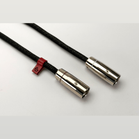 Ikigai Audio Tanso variant 4