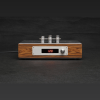 ThivanLabs TCP-5 TUBE CENTER PREAMPLIFIER variant 8