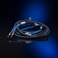 Siltech Cables Ruby Crown Speaker variant 3