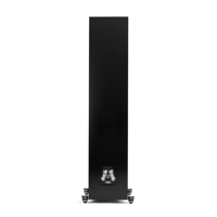 MartinLogan Motion XT F200 variant 14