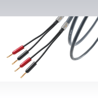 Atlas Cables Ailsa Achromatic Speaker Z/S variant 1