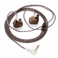 Campfire Audio Holocene variant 4