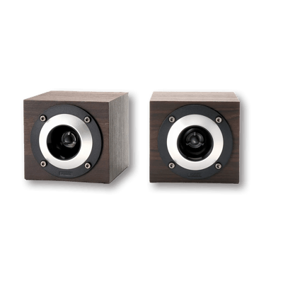 Fostex GS17H