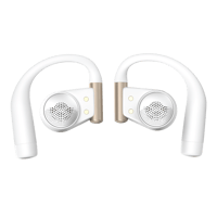 Cleer ARC 4 variant 8